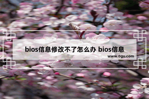 bios信息修改不了怎么办 bios信息修改不了怎么办视频