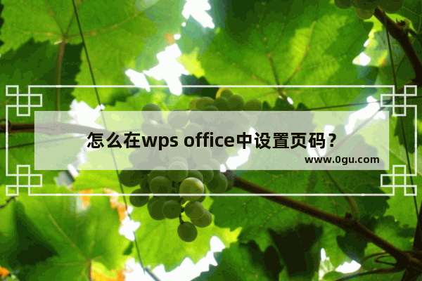 怎么在wps office中设置页码？