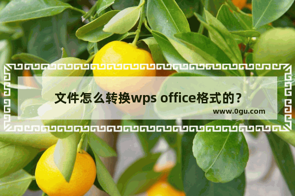 文件怎么转换wps office格式的？