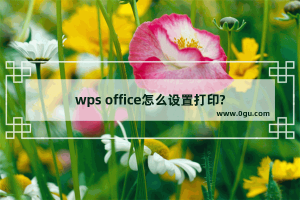 wps office怎么设置打印?