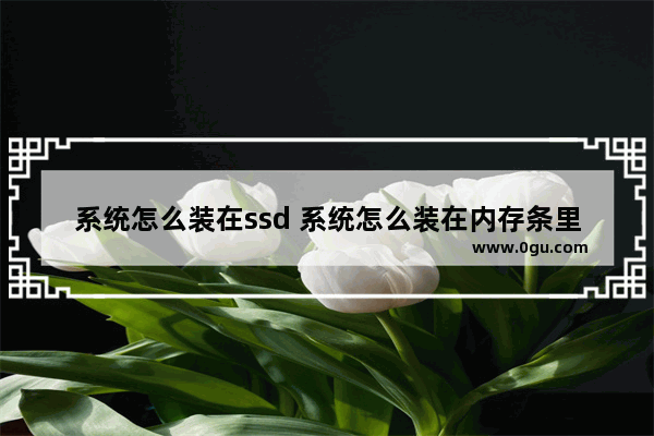 系统怎么装在ssd 系统怎么装在内存条里