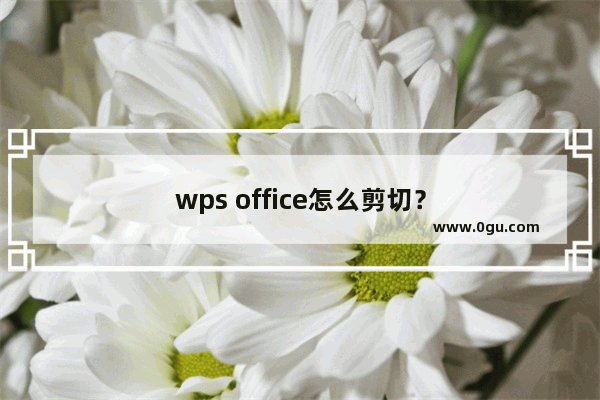 wps office怎么剪切？