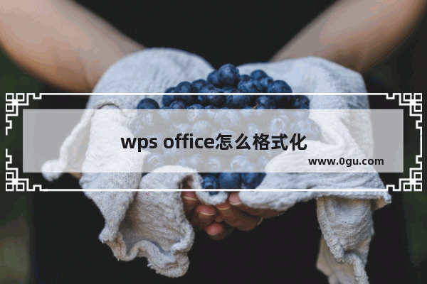 wps office怎么格式化