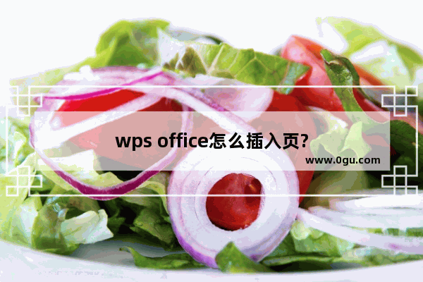 wps office怎么插入页?