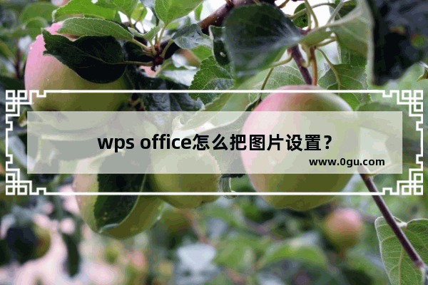 wps office怎么把图片设置？