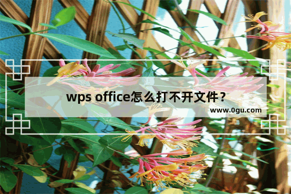 wps office怎么打不开文件？