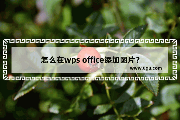 怎么在wps office添加图片？