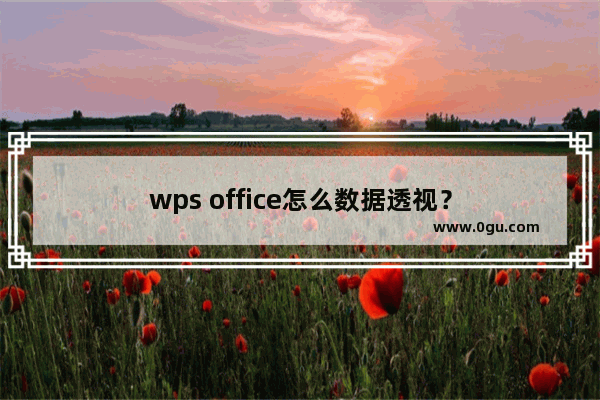 wps office怎么数据透视？