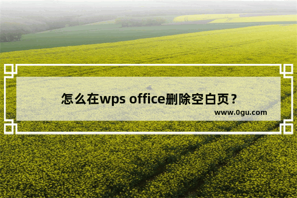 怎么在wps office删除空白页？