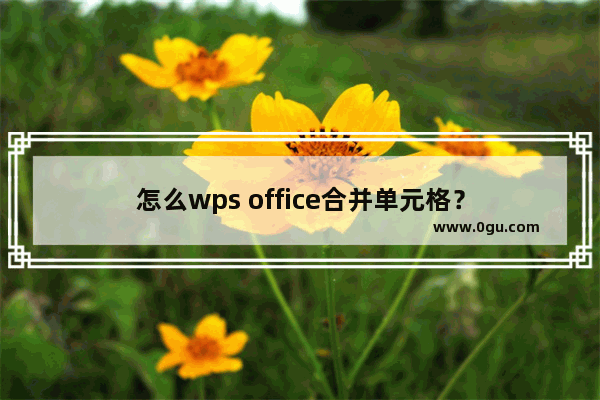 怎么wps office合并单元格？