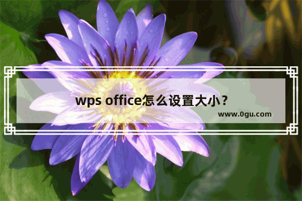 wps office怎么设置大小？