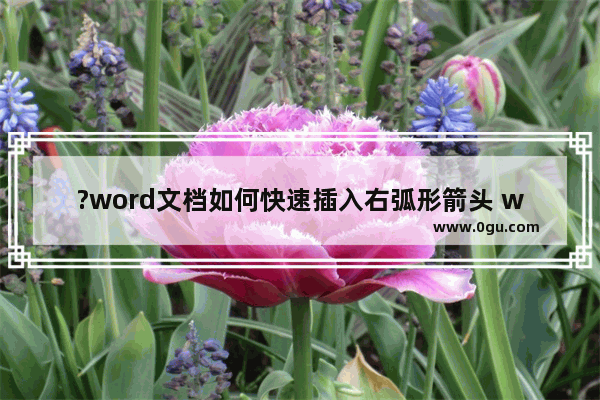 ?word文档如何快速插入右弧形箭头 word文档插入右弧形箭头的方法