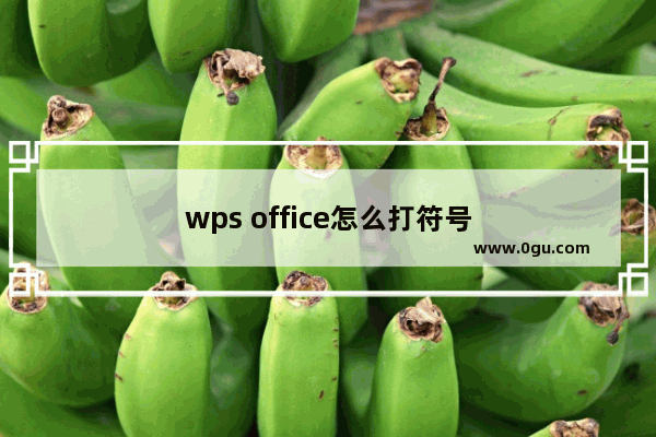 wps office怎么打符号