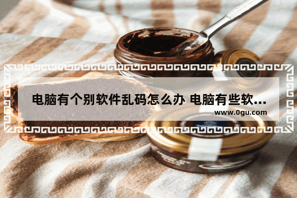 电脑有个别软件乱码怎么办 电脑有些软件出现乱码