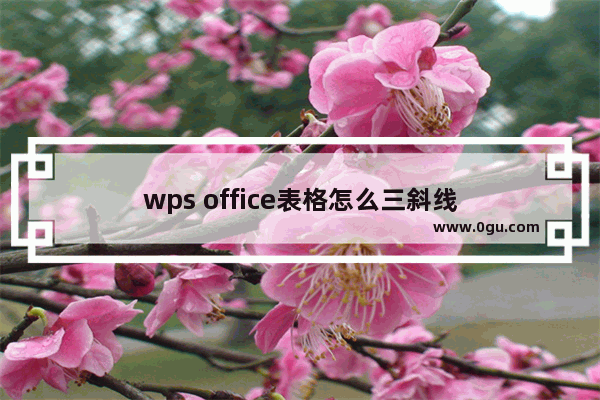 wps office表格怎么三斜线