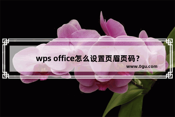 wps office怎么设置页眉页码？