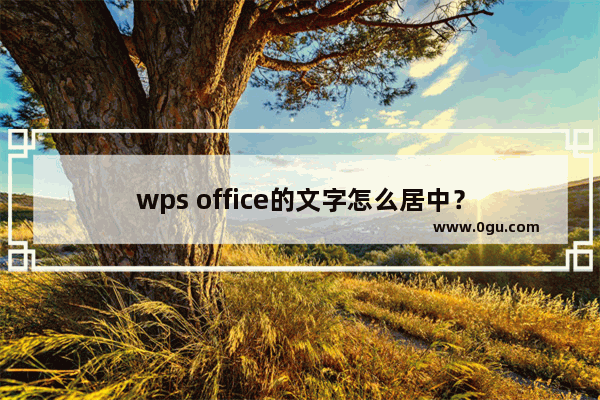 wps office的文字怎么居中？