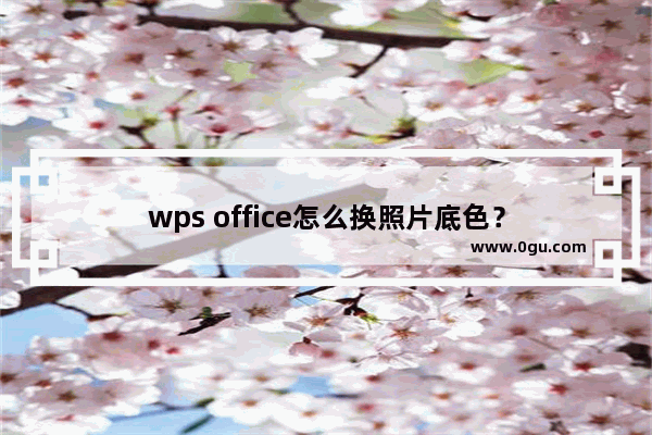 wps office怎么换照片底色？