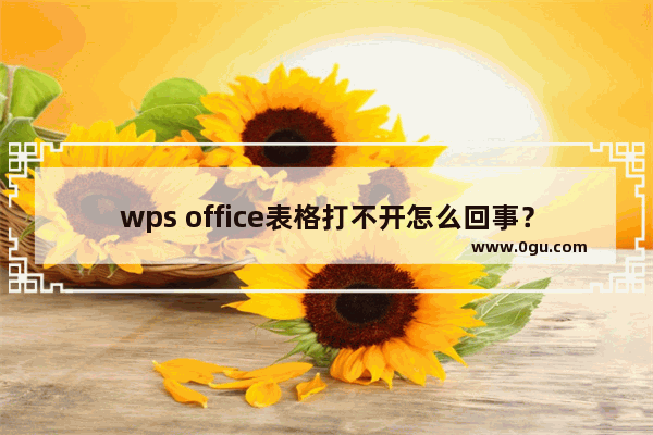 wps office表格打不开怎么回事？