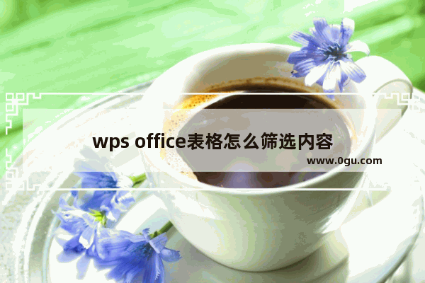 wps office表格怎么筛选内容