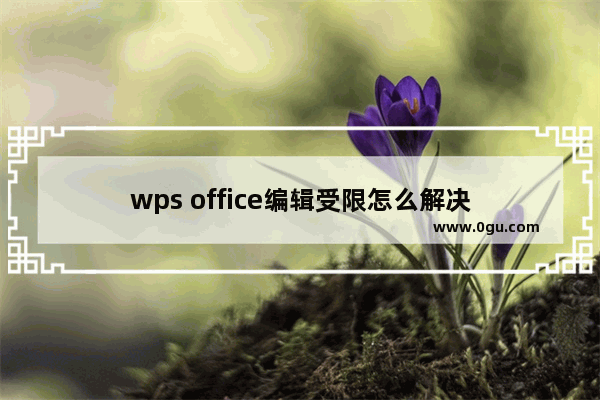 wps office编辑受限怎么解决