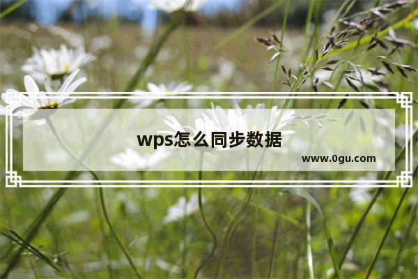 wps怎么同步数据