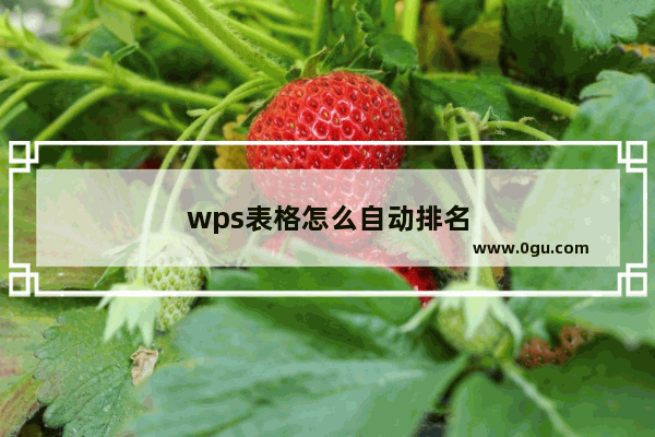 wps表格怎么自动排名