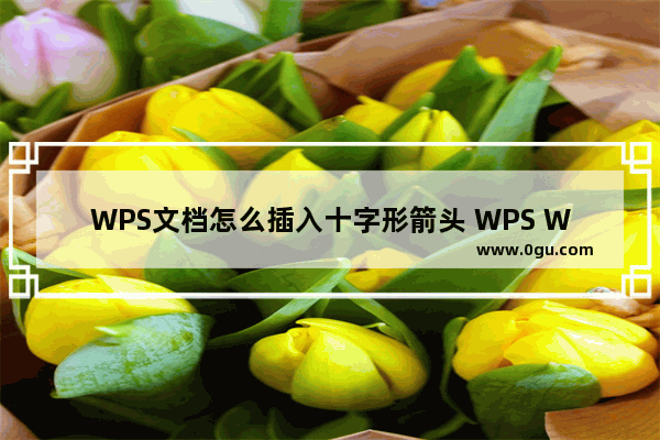 WPS文档怎么插入十字形箭头 WPS Word插入十字箭头图形的方法