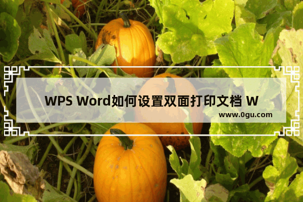 WPS Word如何设置双面打印文档 WPS Word文档设置双面打印的方法