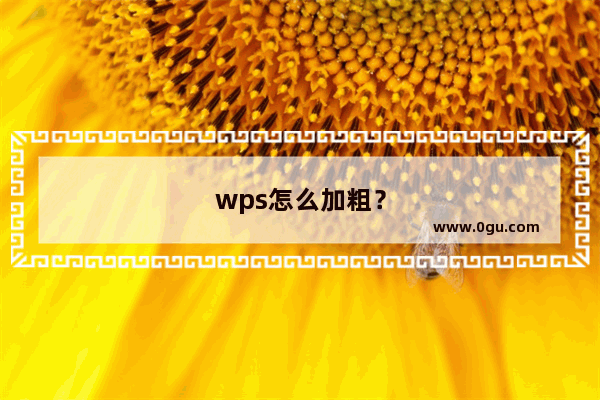 wps怎么加粗？