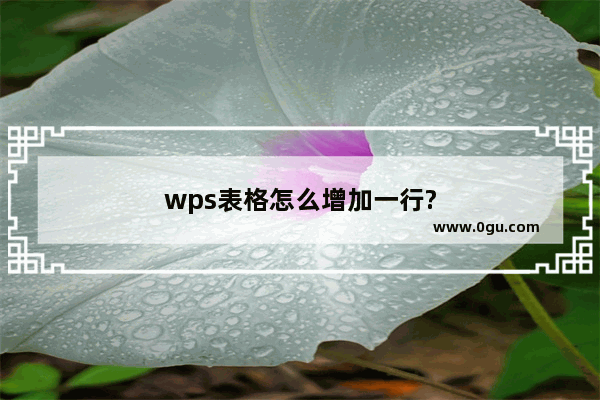 wps表格怎么增加一行?