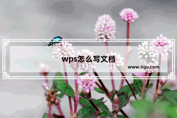 wps怎么写文档