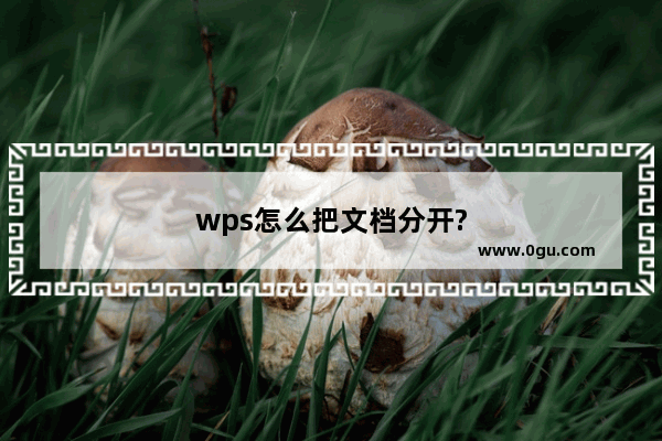 wps怎么把文档分开?