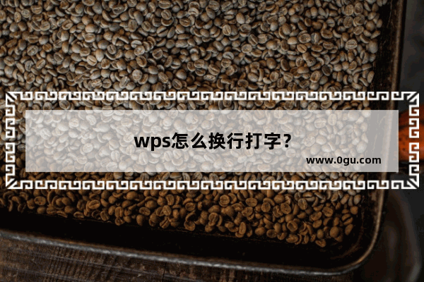 wps怎么换行打字？