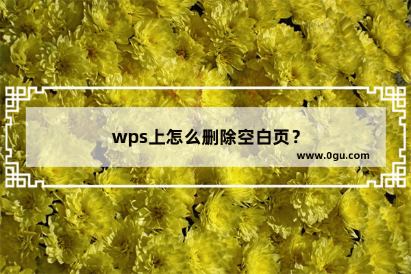 wps上怎么删除空白页？