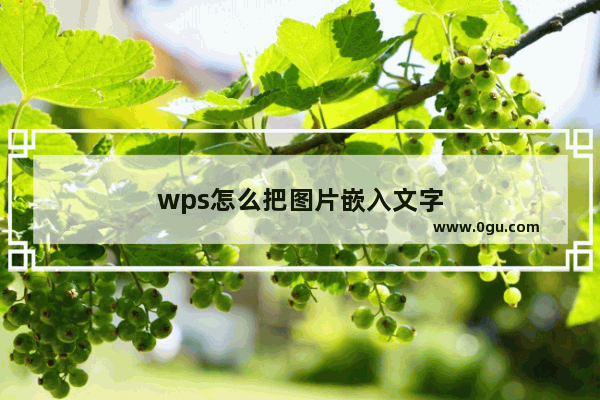 wps怎么把图片嵌入文字