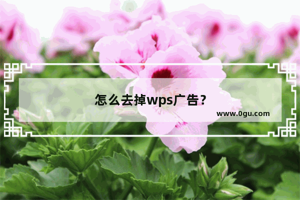 怎么去掉wps广告？