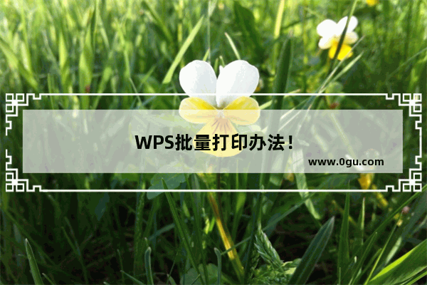 WPS批量打印办法！