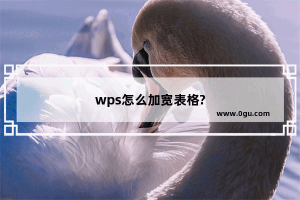 wps怎么加宽表格?