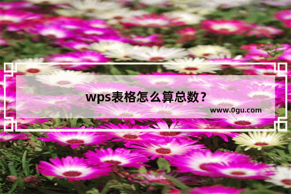 wps表格怎么算总数？