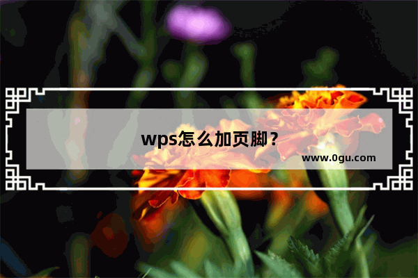 wps怎么加页脚？