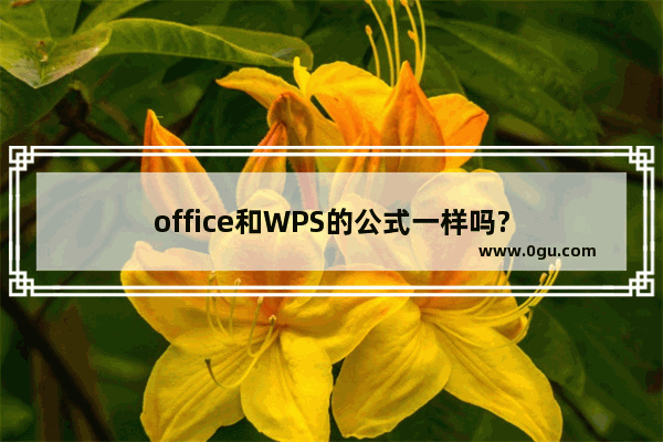 office和WPS的公式一样吗?