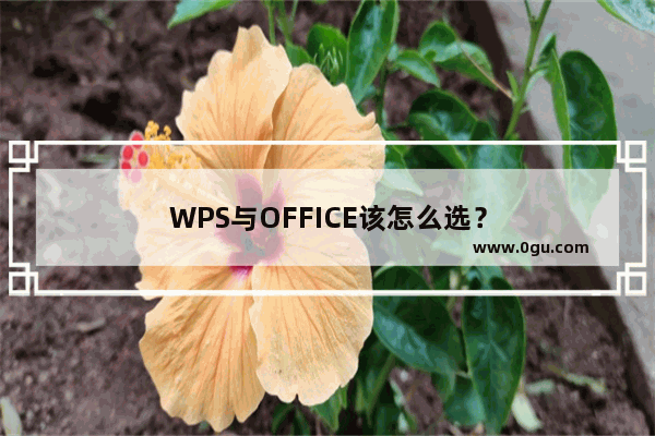 WPS与OFFICE该怎么选？