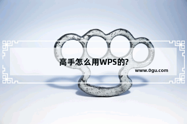 高手怎么用WPS的?