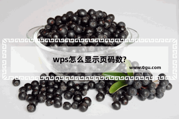 wps怎么显示页码数?