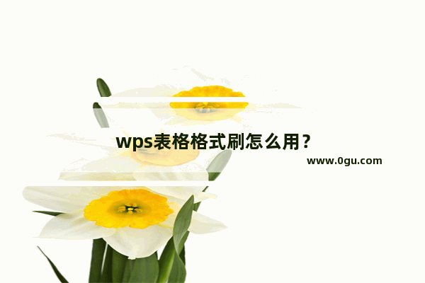 wps表格格式刷怎么用？