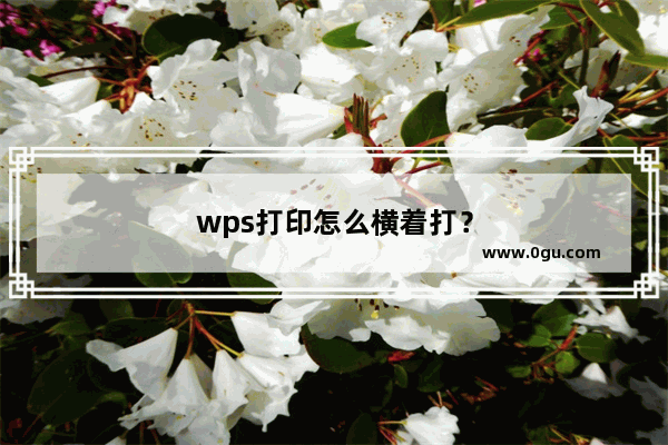 wps打印怎么横着打？