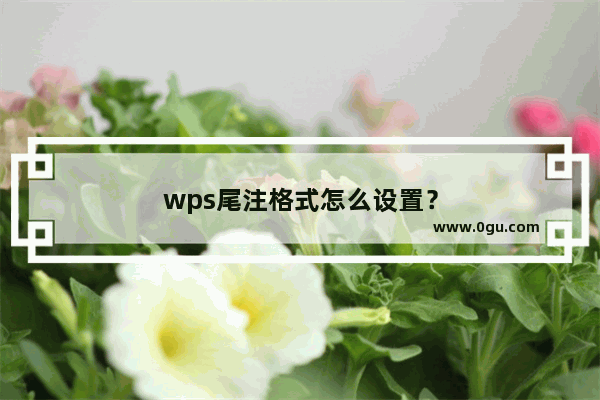 wps尾注格式怎么设置？