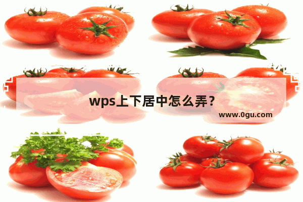 wps上下居中怎么弄？