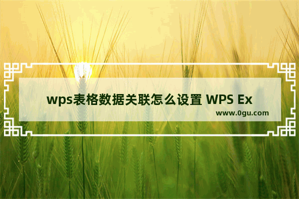 wps表格数据关联怎么设置 WPS Excel中设置工作表数据关联的方法